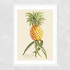 Ananas by Aster Narrow White Frame
