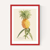 Ananas by Aster
