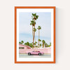 Pink Palm Springs