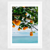 Amalfi Coast Oranges Wide White Frame