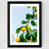 Amalfi Coast Lemons Wide Black Frame