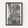 Palms in Water