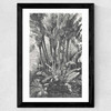 Palms in Water Wide Black Frame