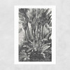 Palms in Water Unframed Print