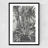 Palms in Water Narrow Black Frame