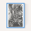 Palms in Water