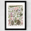 Seaweed - Pink Wide Black Frame
