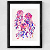 Magenta Jellyfish Wide Black Frame