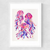 Magenta Jellyfish Medium White Frame