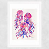 Magenta Jellyfish Wide White Frame