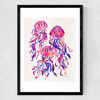 Magenta Jellyfish Medium Black Frame