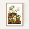 Cat House Plants