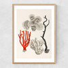 Coral by Capricorn Press Narrow Oak Frame