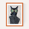 Fashion Cat