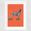 Dalmatian With Rollerskates
