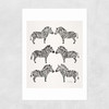 Black-Zebras Unframed Print