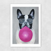 French Bulldog With Bubblegum Unframed Print
