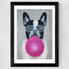 French Bulldog With Bubblegum Wide Black Frame