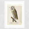 Owl Medieval Wide White Frame