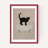 Cat On Bathtub