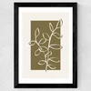 Framed Botany III