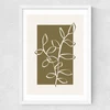 Framed Botany III