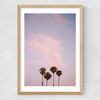 San Diego Sunset Film