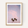 San Diego Sunset Film