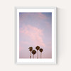 San Diego Sunset Film