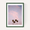 San Diego Sunset Film