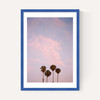 San Diego Sunset Film