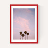 San Diego Sunset Film