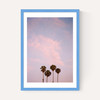 San Diego Sunset Film