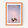 San Diego Sunset Film