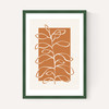 Framed Botany II