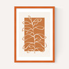 Framed Botany II