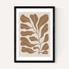 Brown Branch