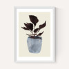 Country Plant