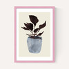 Country Plant