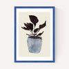 Country Plant