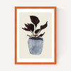 Country Plant