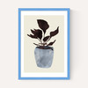Country Plant