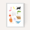 Animals