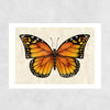 Butterfly by Dieter Braun Unframed Print