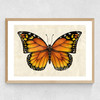 Butterfly by Dieter Braun Medium Oak Frame