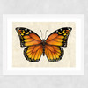Butterfly by Dieter Braun Wide White Frame