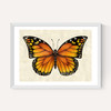 Butterfly by Dieter Braun
