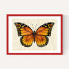 Butterfly by Dieter Braun