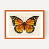 Butterfly by Dieter Braun