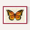 Butterfly by Dieter Braun